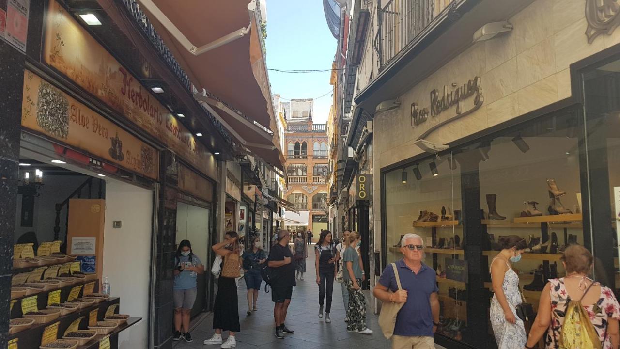 Appartement Magnifico Apto 2 Dorm 2 Banos En El Corazon De Aa Wifi Sevilla